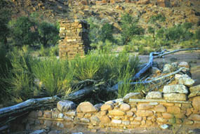 cass hite cabin