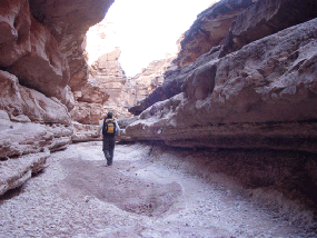 Hiking the wash.