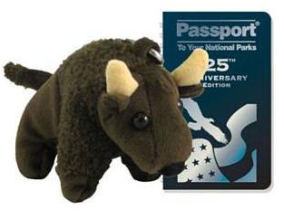 bison