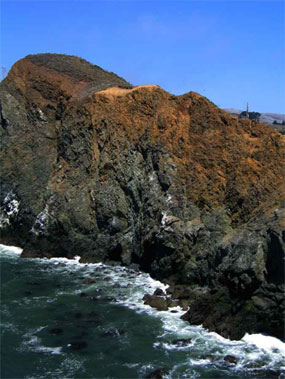 Looking north from the Point Bonita bridge at a marine terrace at the top of the hillside.