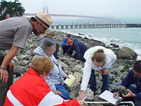 Students work on the Crissy riprap