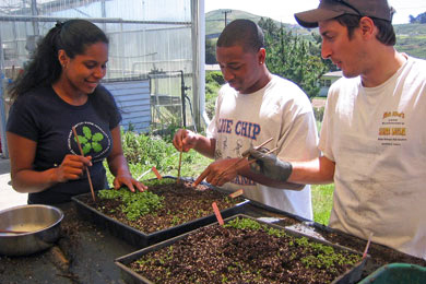 mahe-nursery_390