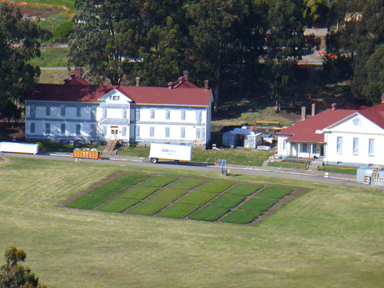 aerial photo of grass test strips at Fort Baker