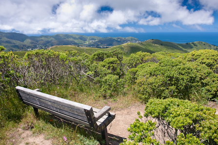 View of Sweeney Ridge.