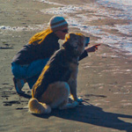 Dog and owner on the beach