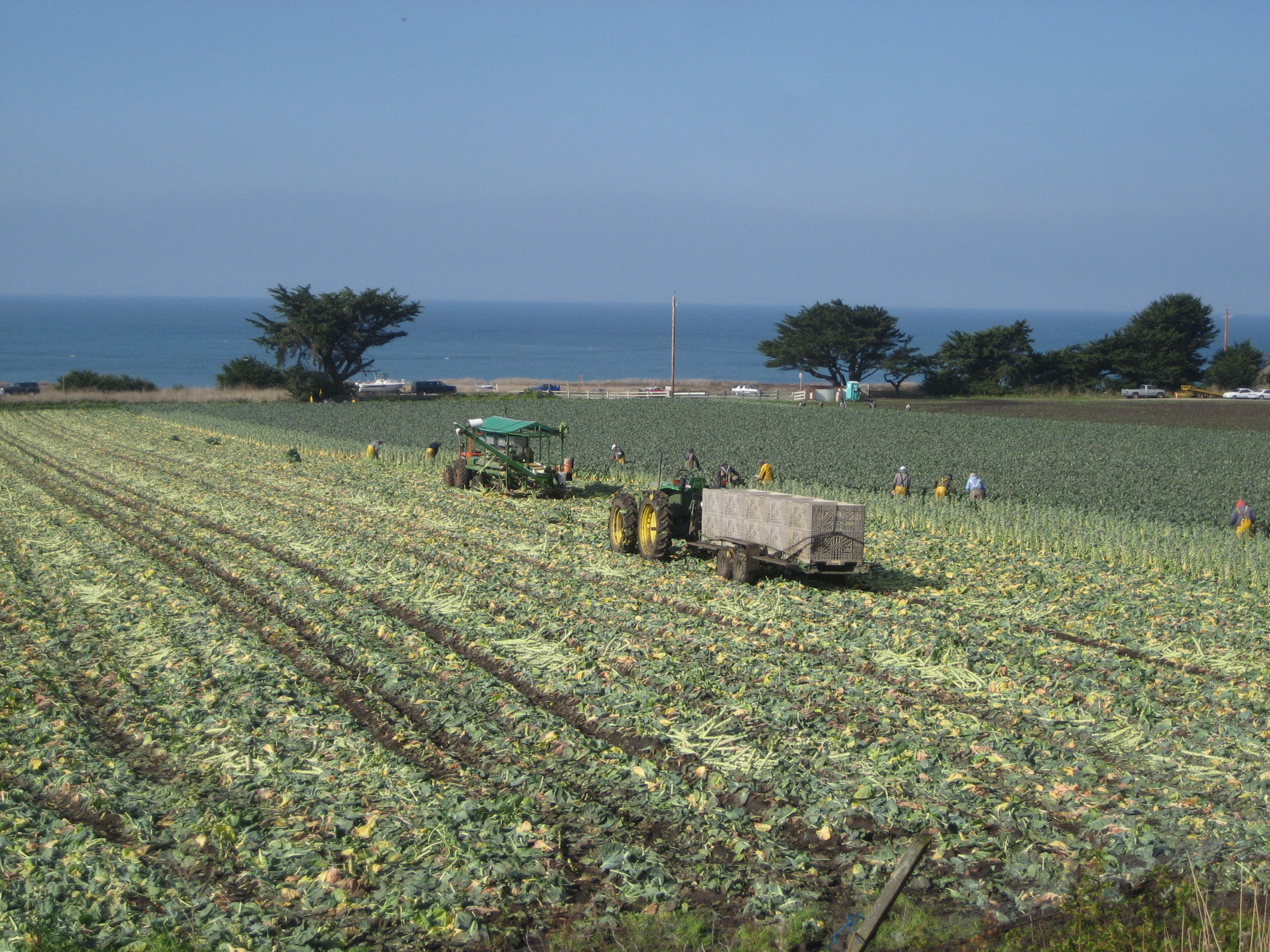 Rancho agricultural lands