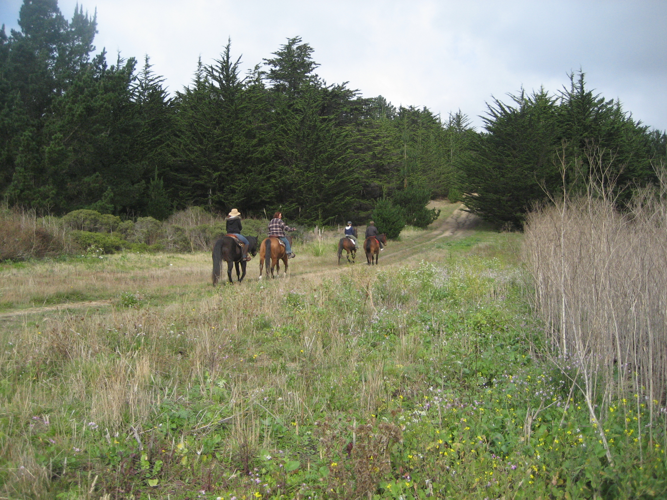 Horse stables at Rancho
