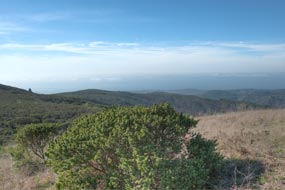 View of Rancho Corral de Tierra from the Corral Reef Trail.