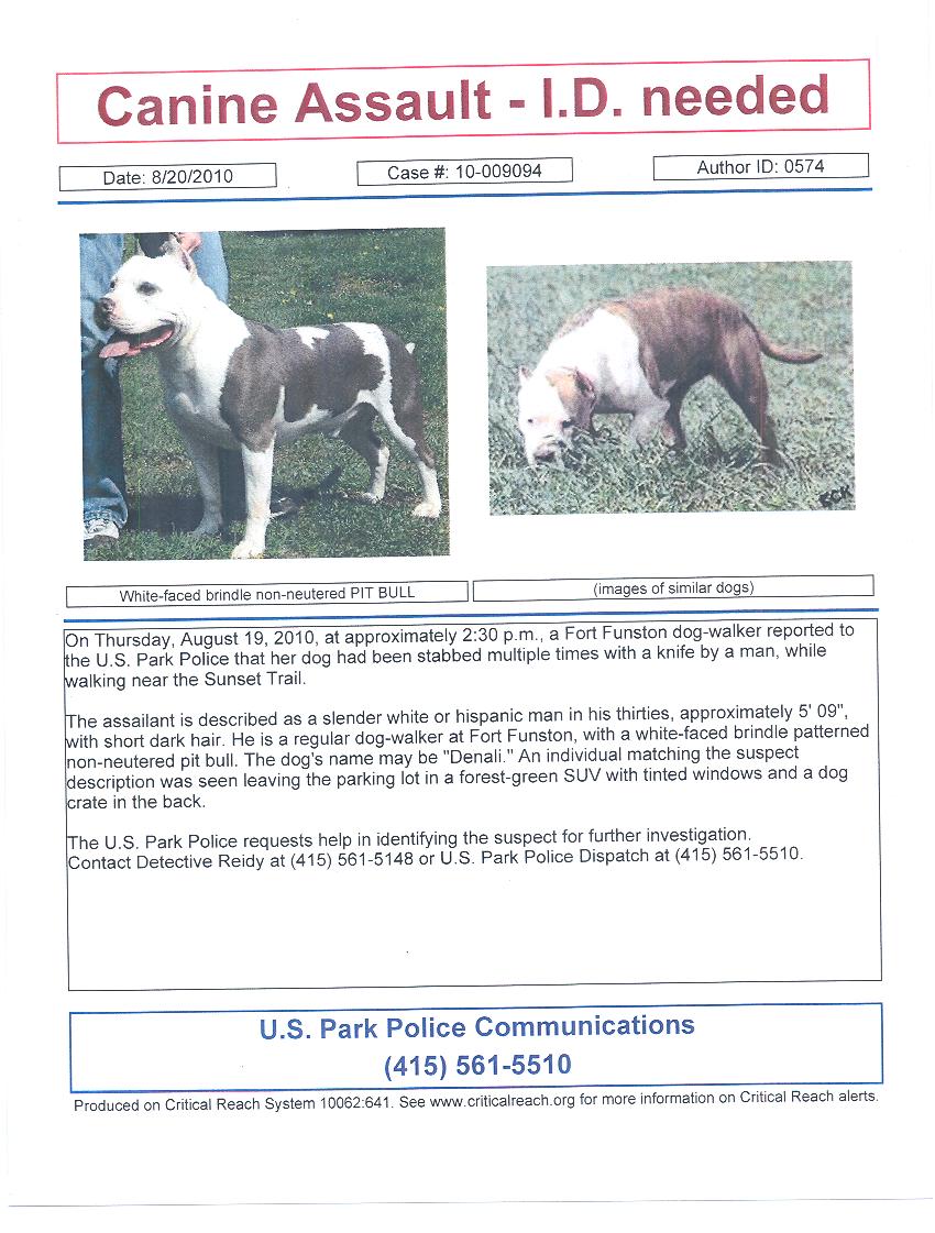 image of flier