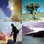 Climate Change in National Parks