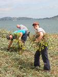 Volunteer group