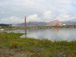 Marsh overlooking bridge