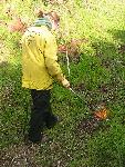 Scorching invasives