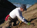Planting the slope
