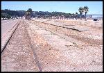 Crissy Field before restoration