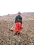Brushcutting European grasses