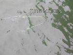 Oil Spill from Alcatraz at 1330 hours