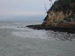 Oil appears along water surface around Alcatraz