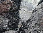 Close Up of Oil Accumulating Along Shores