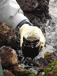 Oil Spill Sample taken on Alcatraz