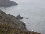 Oil along Marin Headlands Shoreline