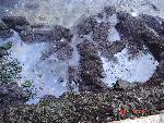 Oiled Tide Pools on Alcatraz