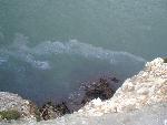 Ribbons of Oil Around Alcatraz