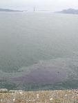 Pools of Black towards Golden Gate