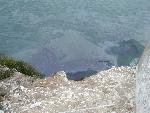 Oil Spill at Alcatraz