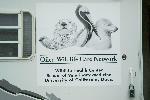Oiled Wildlife Care Network