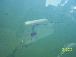 Overhead view of Oil Ribbons in the Bay