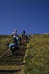 Volunteers at Mori Point