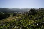 Scenic Shot of Mori Point