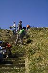 Weeding at Mori Point