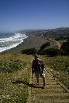 Volunteer at Mori Point