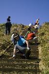 Weeding at Mori Point