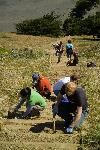 Weeding at Mori Point