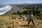 Weeding at Mori Point