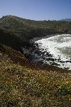 Scenic Shot of Mori Point