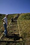 Weeding at Mori Point