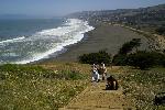 Weeding at Mori Point