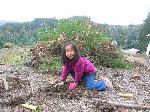 Planting young
