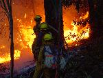 Fighting the fire