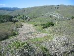Green Gulch pasture