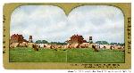 1906 earthquake camp, Fort Mason