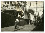 Lifting mule at Port of Embarkation, 1890s