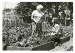 Ranger and woman in community garden, 1978
