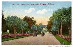 Palm Avenue, Sutro Heights, 1913