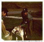 Attack dog on arm, Fort Barry, c. 1970
