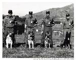 MPs with dogs, Fort Barry, c. 1970